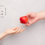 品川で果物からスイーツまであらゆる“おいしい”が並ぶ『パスザバトンの食料品店』が12/11（土）～12（日）オープン。