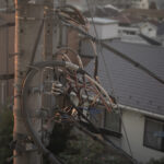 【個展】フォトグラファー岡崎果歩・個展「心臓」開催中（〜5/20）＠神保町テラススクエア