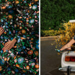 ケイト・スペード ニューヨークは、 特別な煌めきを発するspring 2022 キャンペーンと共に、セレブレーションイヤーをスタート