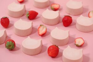 【12/1発売!冬ギフトにおすすめの商品】”ねこ”をモチーフとしたフードショップ「ねこねこ」より、手のひらサイズのねこの形のチーズケーキ「にゃんチー いちご」が期間限定で登場