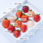 旬のイチゴを堪能する「いちご12種食べ比べ」期間限定販売