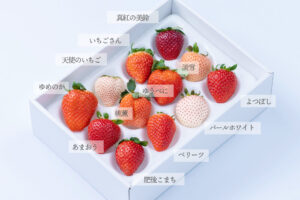 旬のイチゴを堪能する「いちご12種食べ比べ」期間限定販売