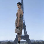 DIORの2023-2024年秋冬コレクションに、新たな「プラン ドゥ パリ」のクリエイションが登場しました。