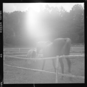 【個展:南部恭平】個展『なにか不透明で特別なもの』を開催:3/13(水)〜3/17(日)@渋谷・桜丘町